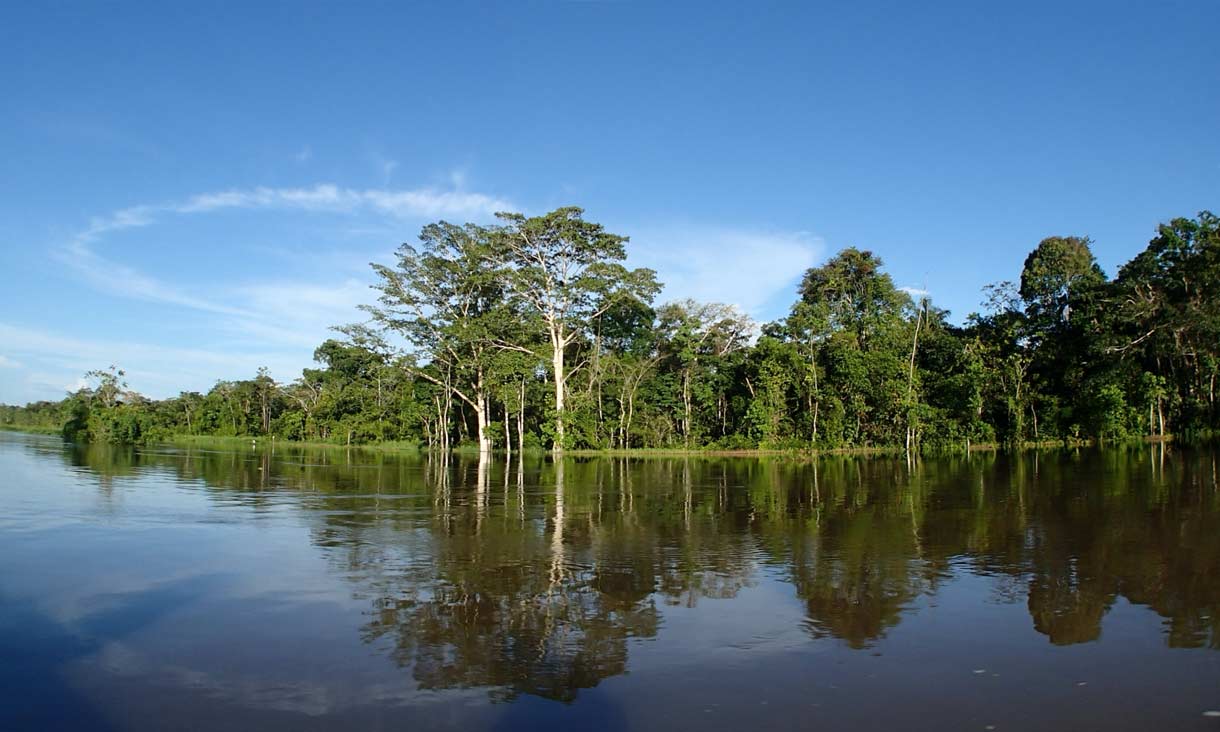 イメージ画像：森林を貫く川と青空